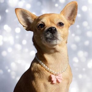 Pearl Pink Bow Dog Necklace Collar